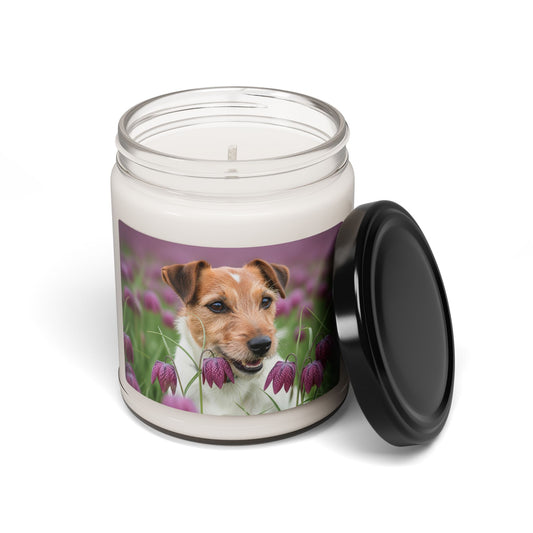 Russell Terrier- Scented Soy Candle, 9oz