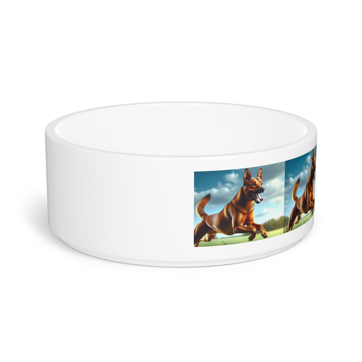 Gamelle pour animaux Kanni
