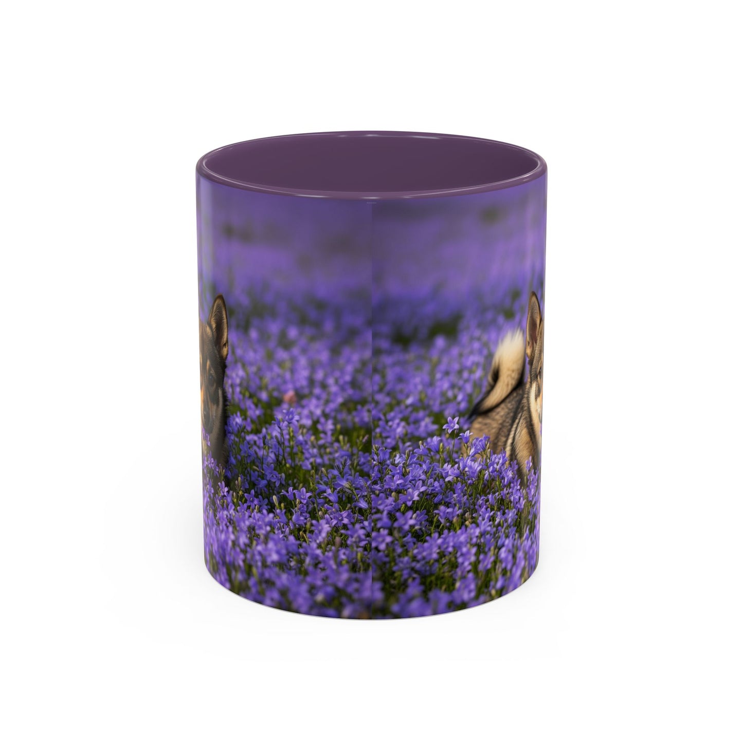 Swedish Vallhund Accent Coffee Mug - Perfect Gift for Dog Lovers
