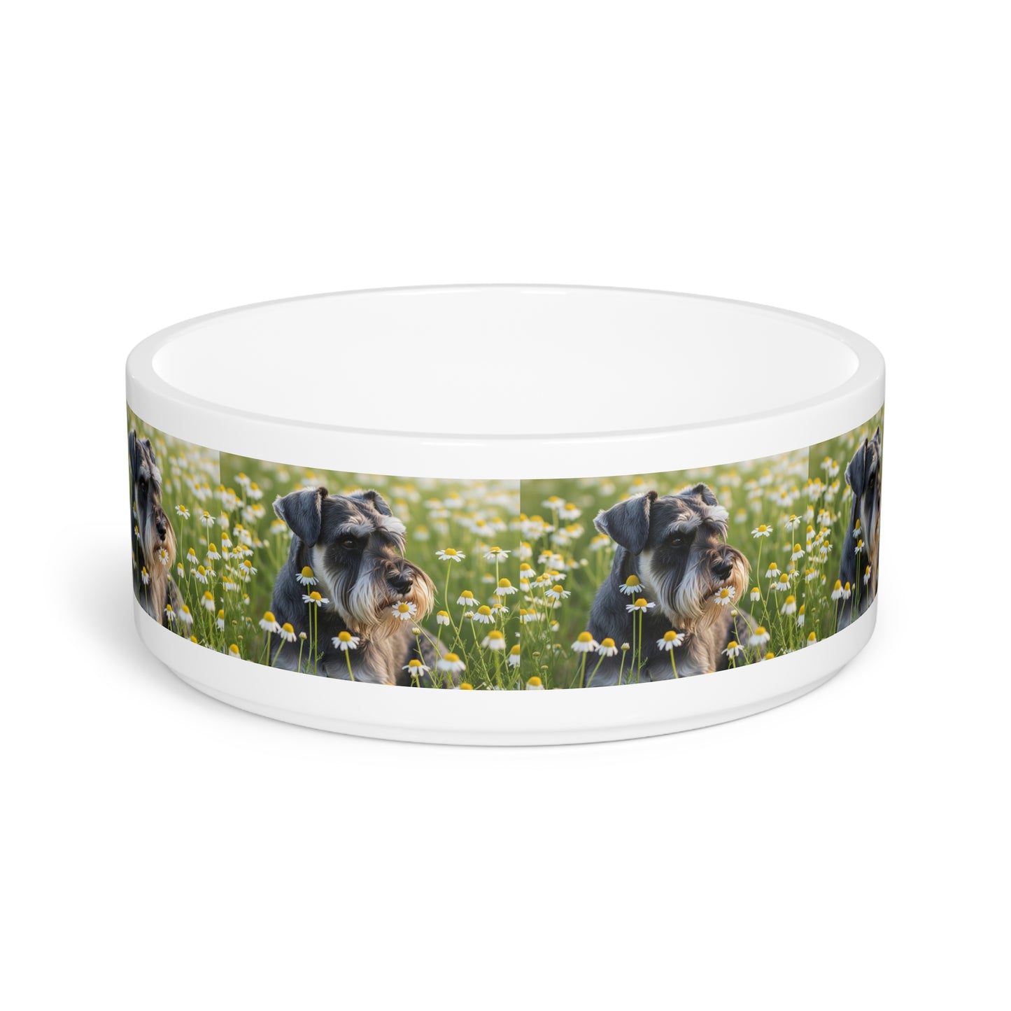 Gamelle pour Schnauzer nain