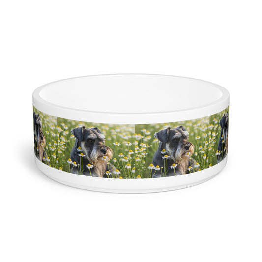 Tazón para mascotas Schnauzer miniatura