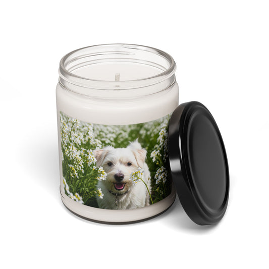 Kromfohrlander- Scented Soy Candle, 9oz