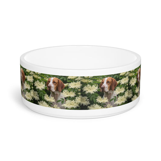 Braque St. Germain Pet Bowl