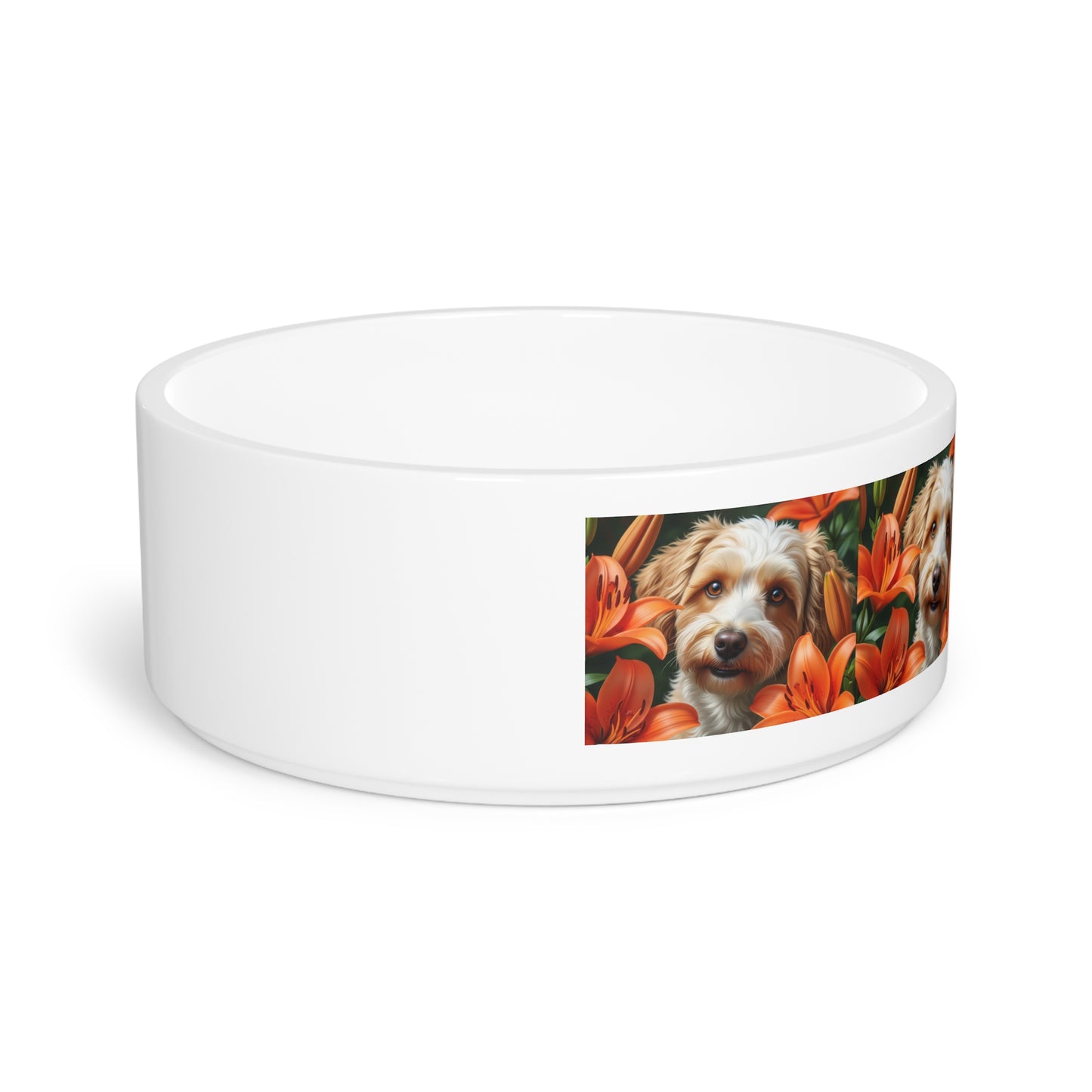 Gamelle pour Schnoodle