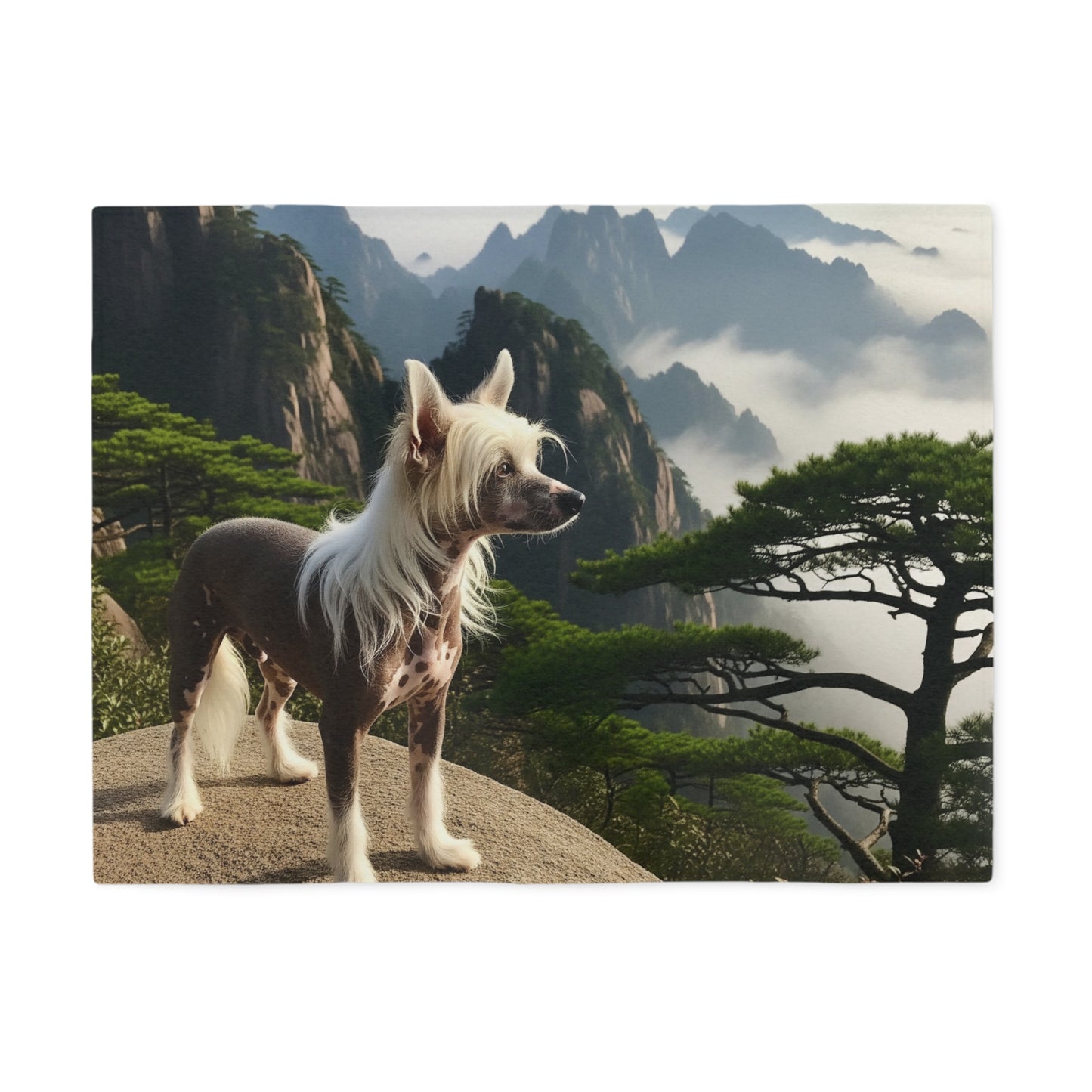 Chinese Crested Dog Blanket
