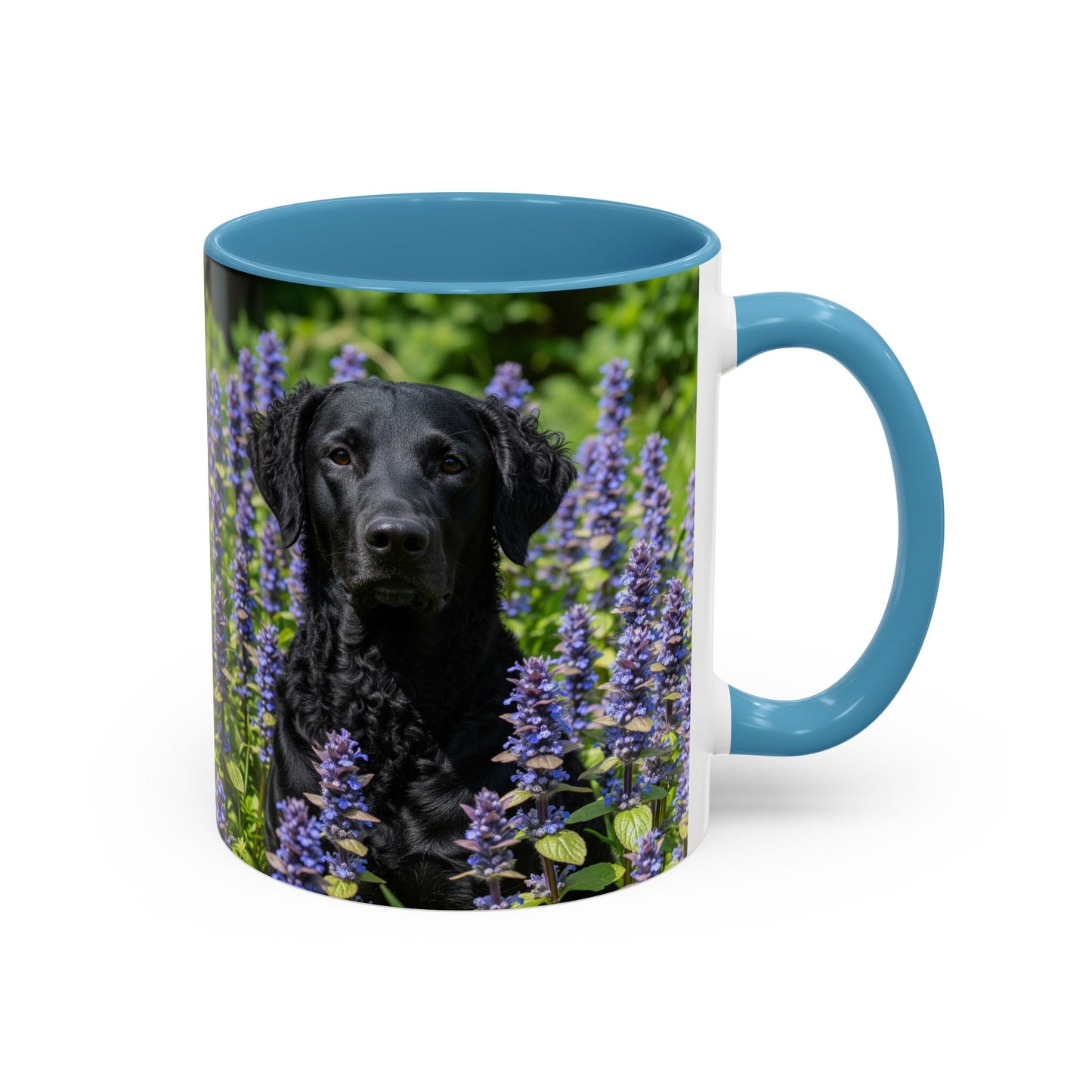 Curly Coated Retriever Accent Coffee Mug - Perfect Gift for Dog Lovers
