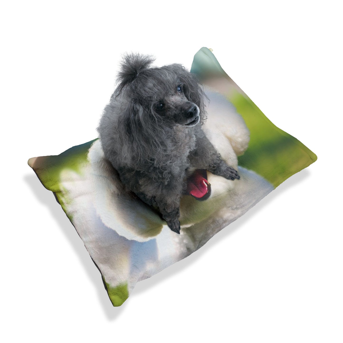 Bichon Frise Pet Bed