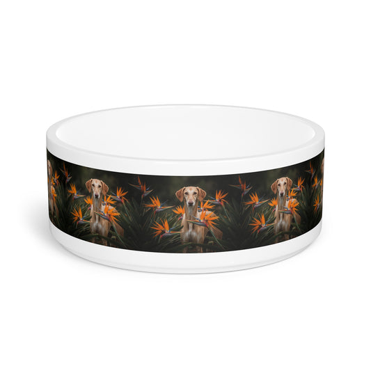 Azawakh Pet Bowl