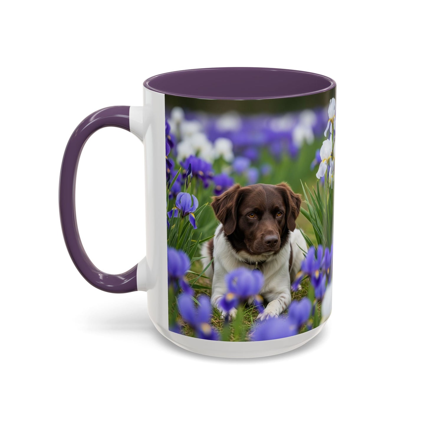 Mug Stabyhouns Accent - Cadeau idéal pour les amoureux des chiens