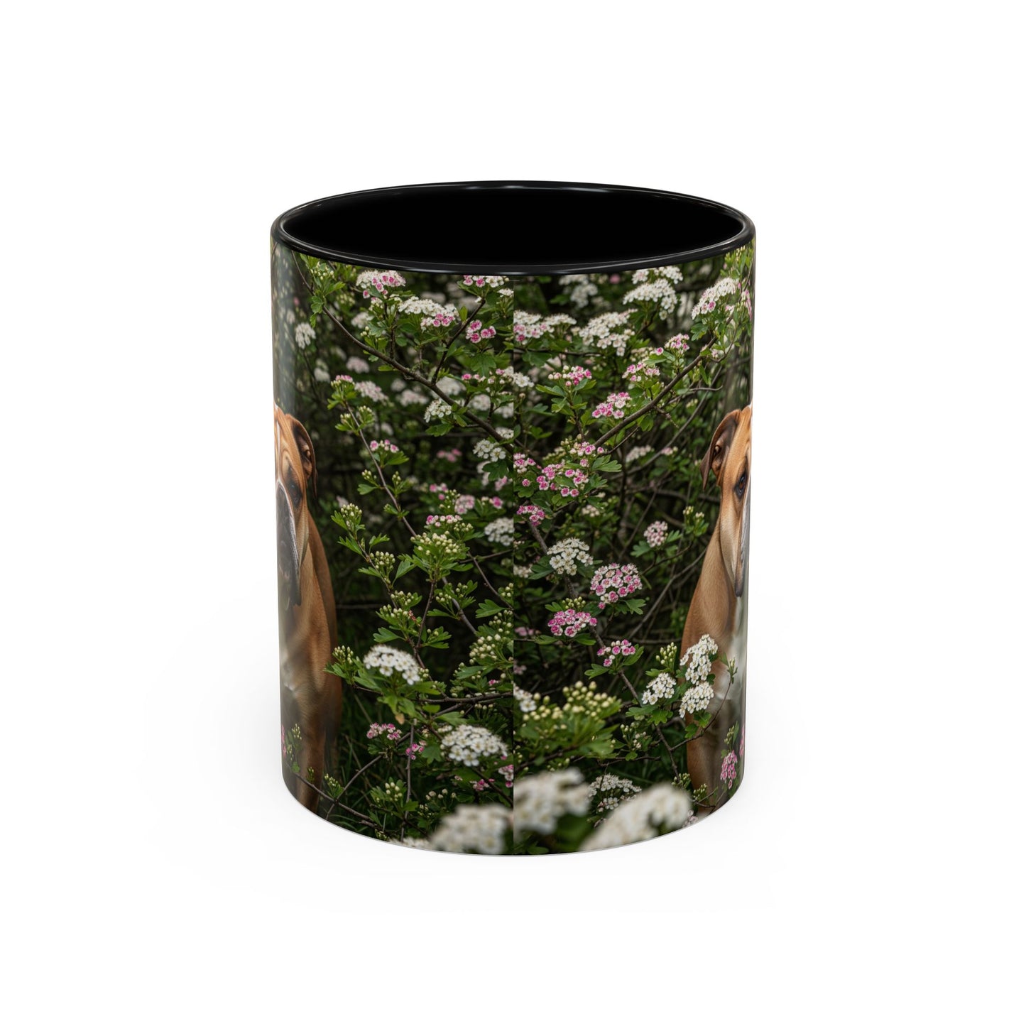 Mug à café Olde English Bulldogge Accent - Cadeau idéal pour les amoureux des chiens