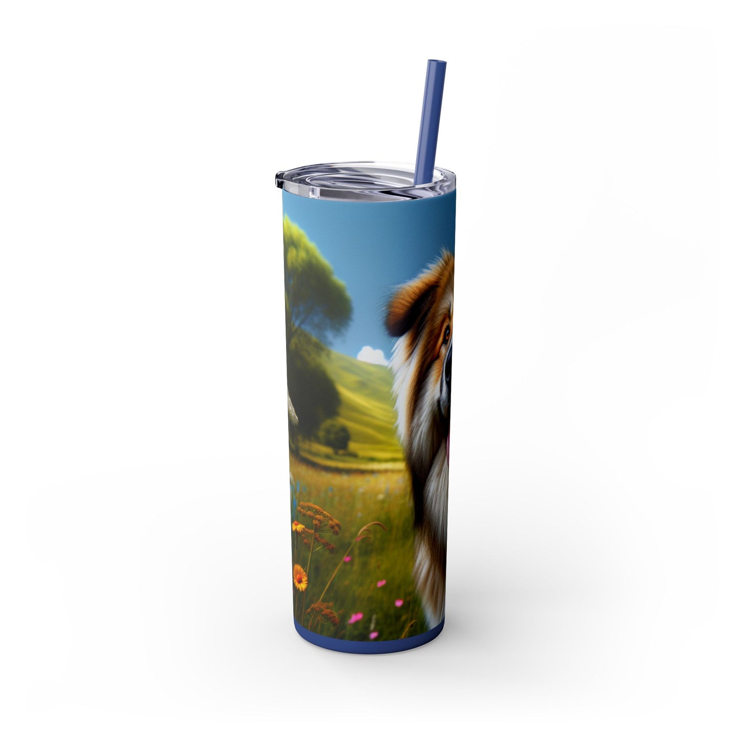 Bakharwal Tumbler with Straw, 20oz
