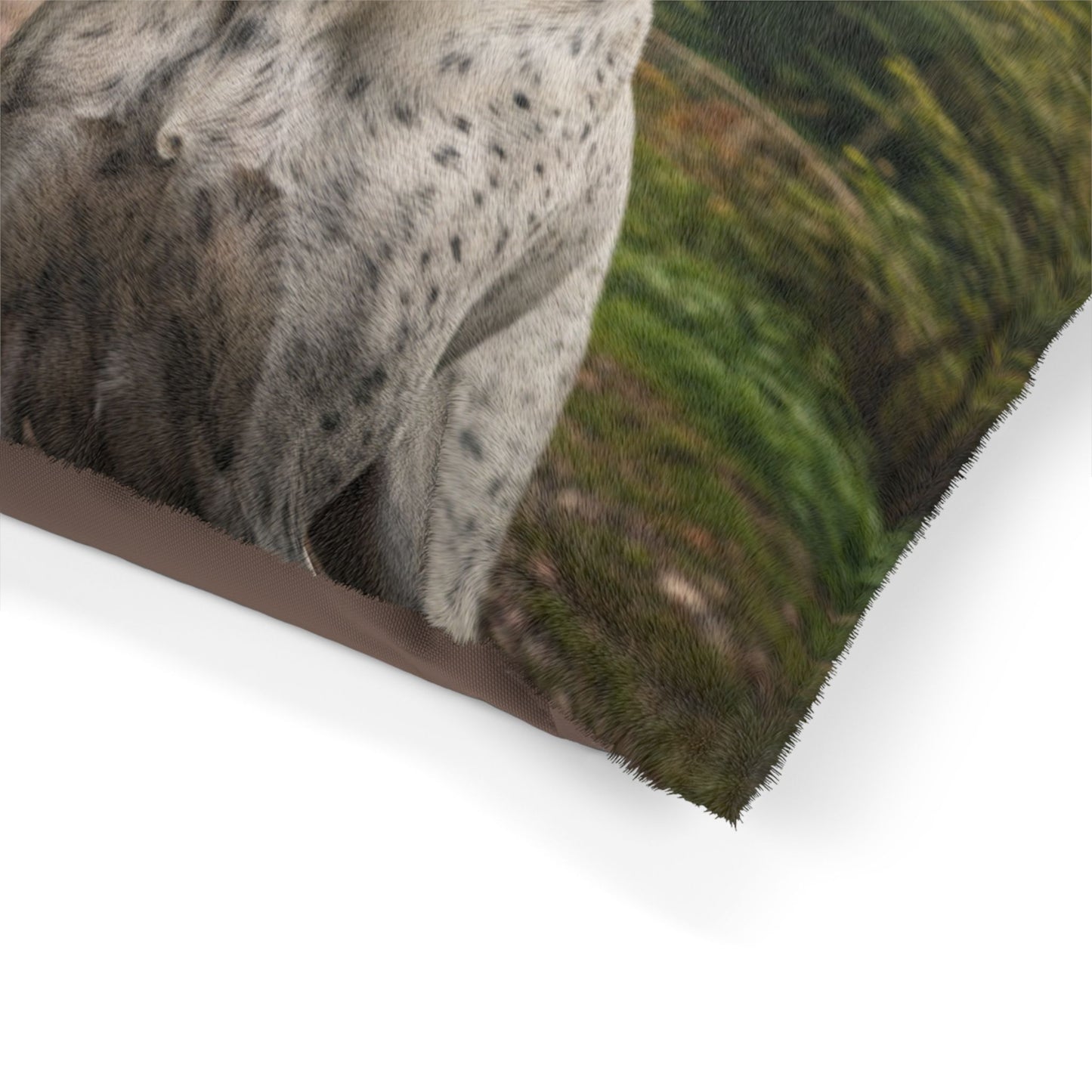 Braque d'Auvergne Pet Bed