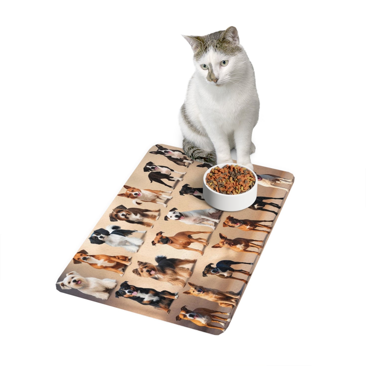 Pet Food Mat (12x18) - Class of Dogs