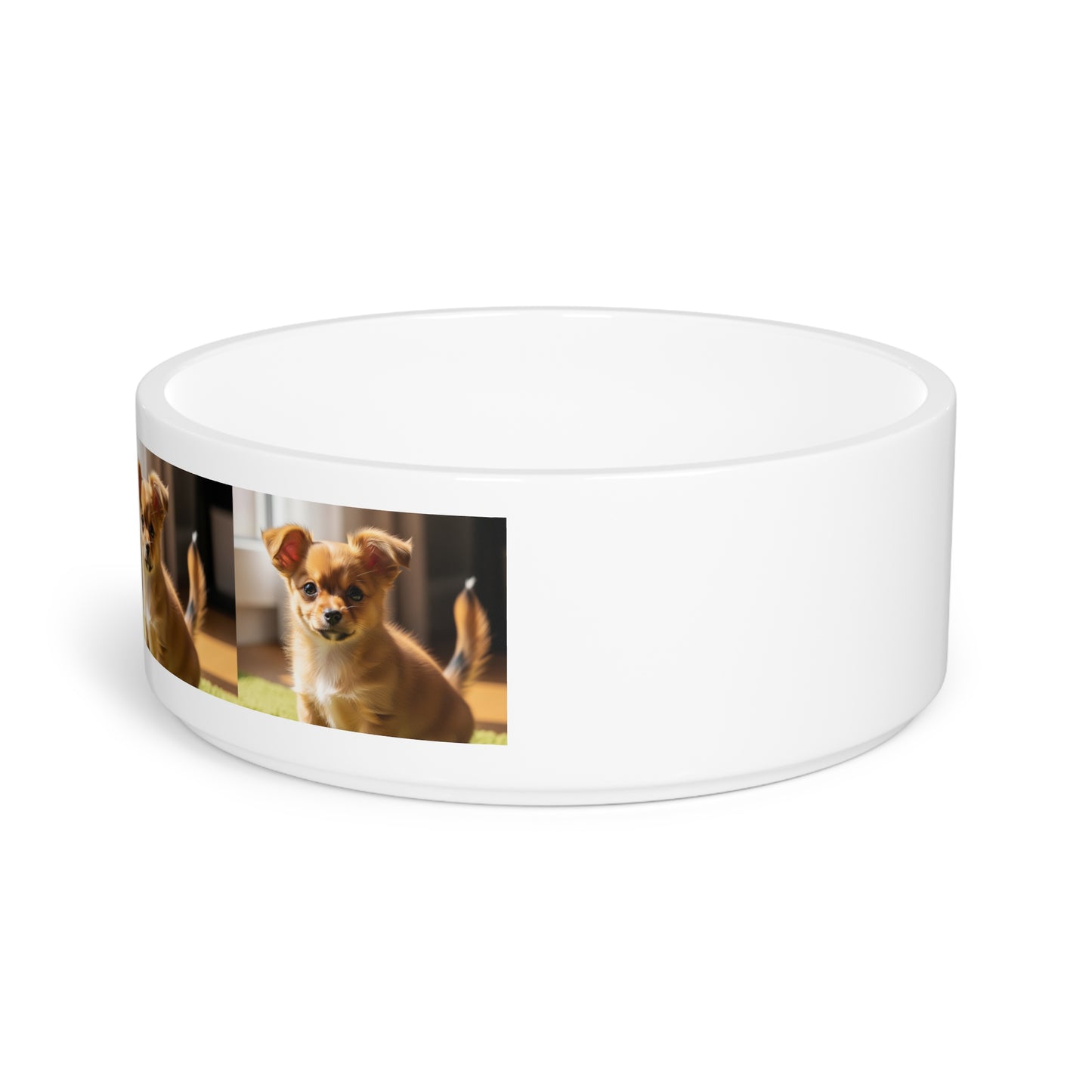 Toi Leo Pet Bowl
