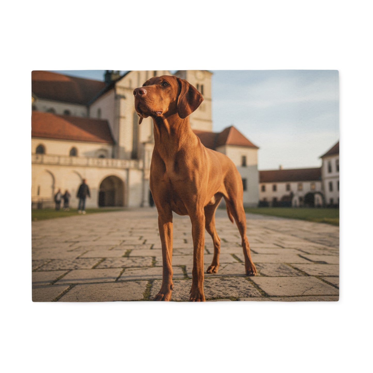 Hungarian Vizsla Blanket