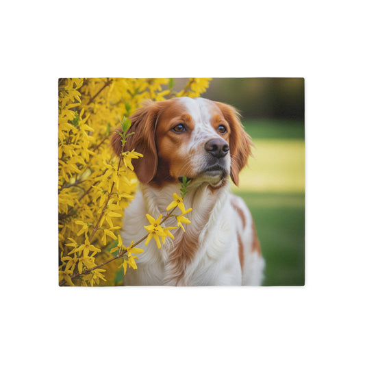 Brittany Dog Sweatshirt Blanket