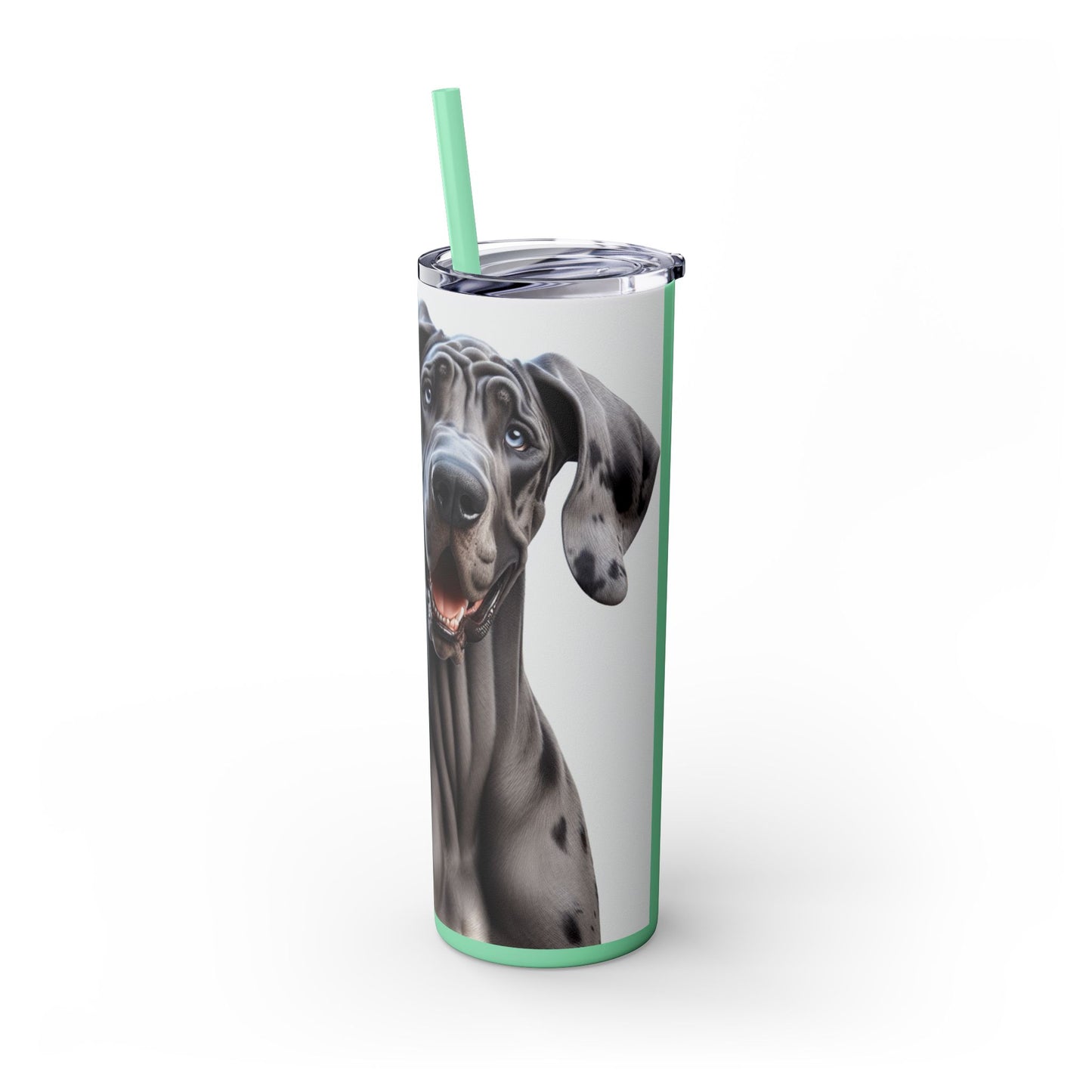 Great Dane Tumbler with Straw, 20oz