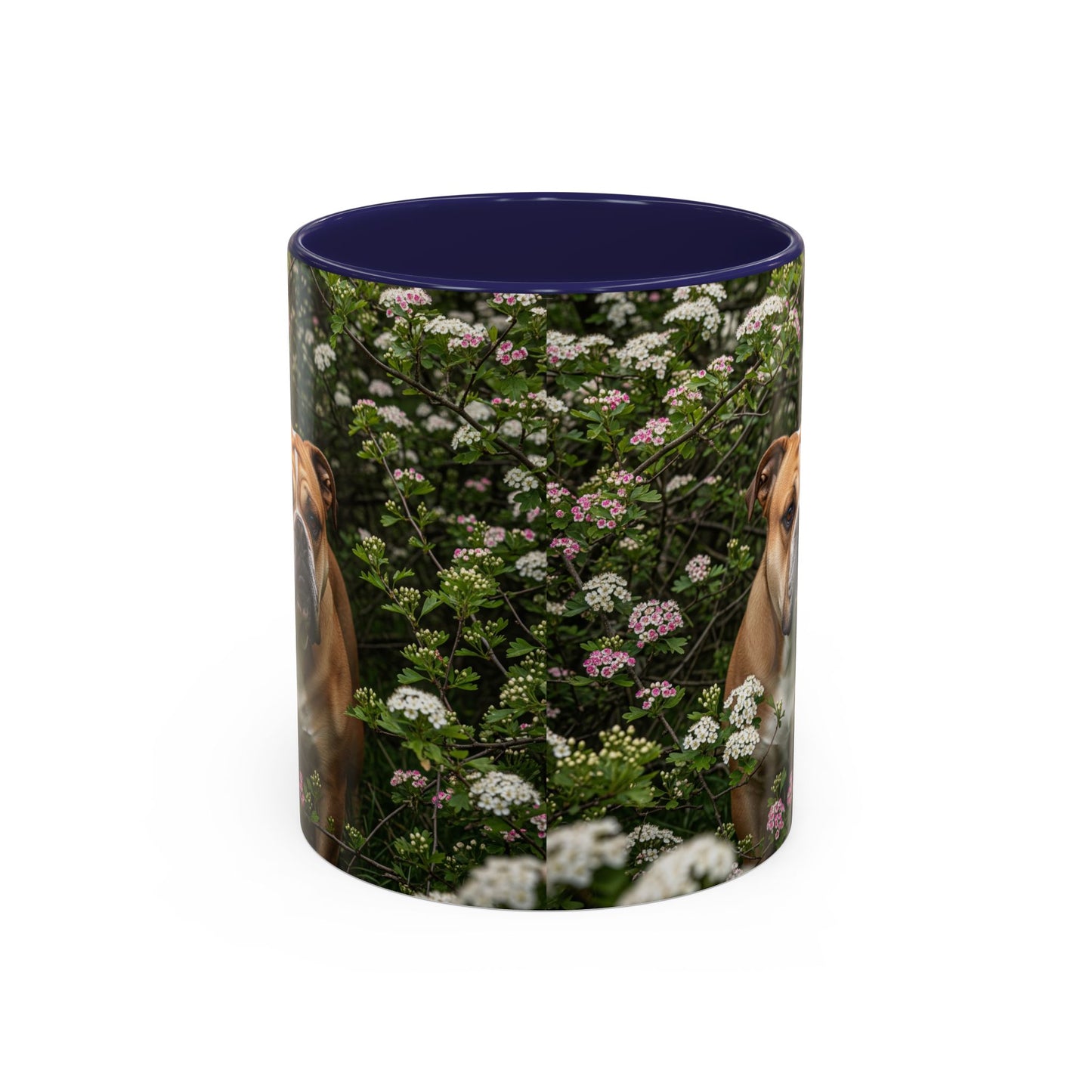 Mug à café Olde English Bulldogge Accent - Cadeau idéal pour les amoureux des chiens