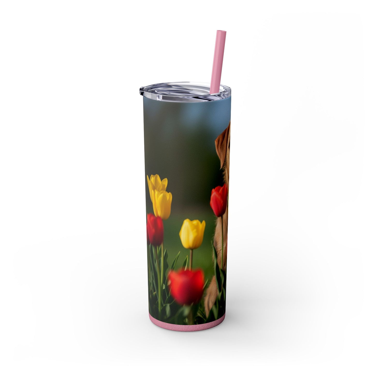 Pumi Skinny Tumbler with Straw, 20oz