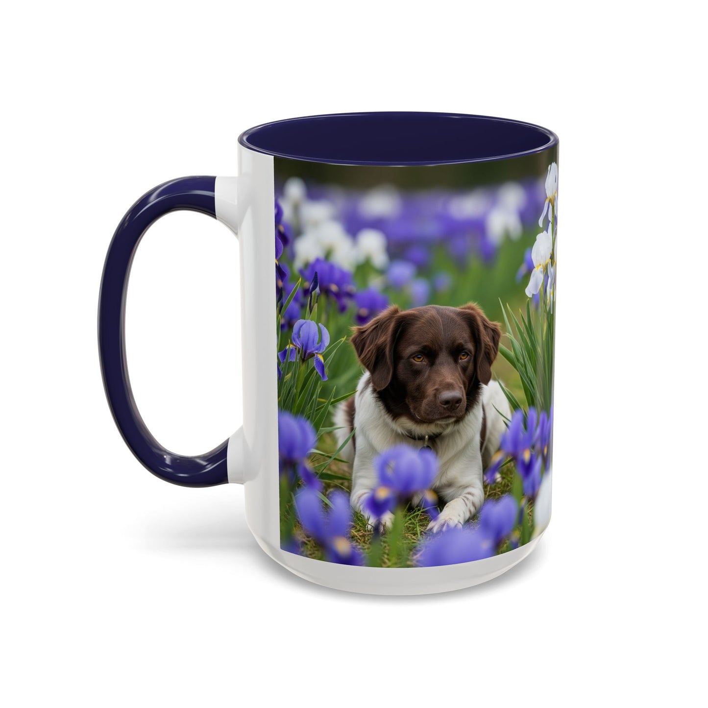 Mug Stabyhouns Accent - Cadeau idéal pour les amoureux des chiens