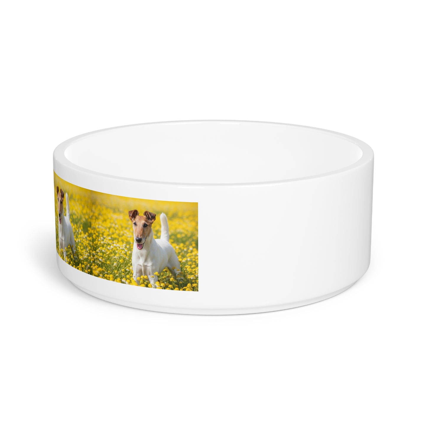 Gamelle pour Fox Terrier à poil lisse