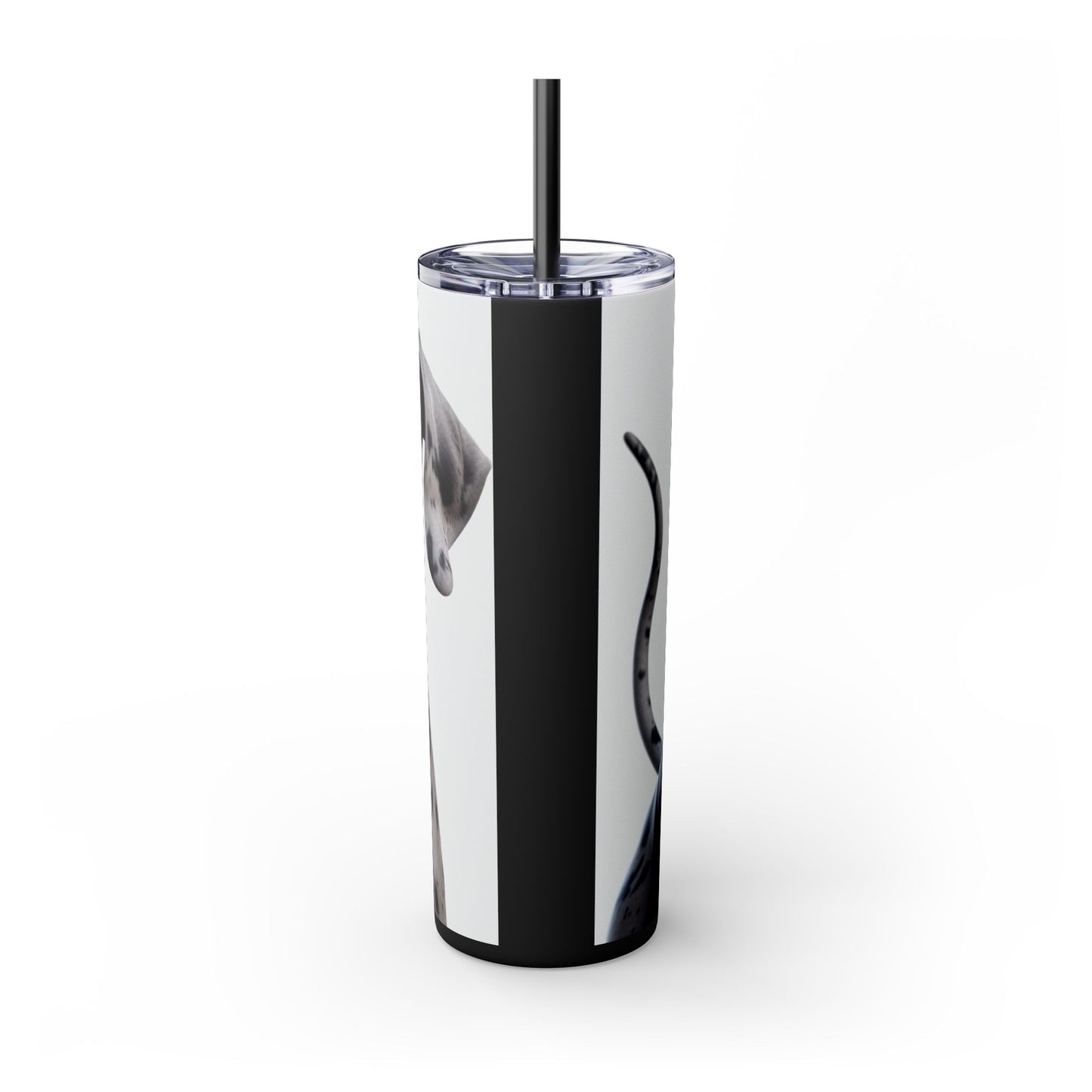 Great Dane Tumbler with Straw, 20oz