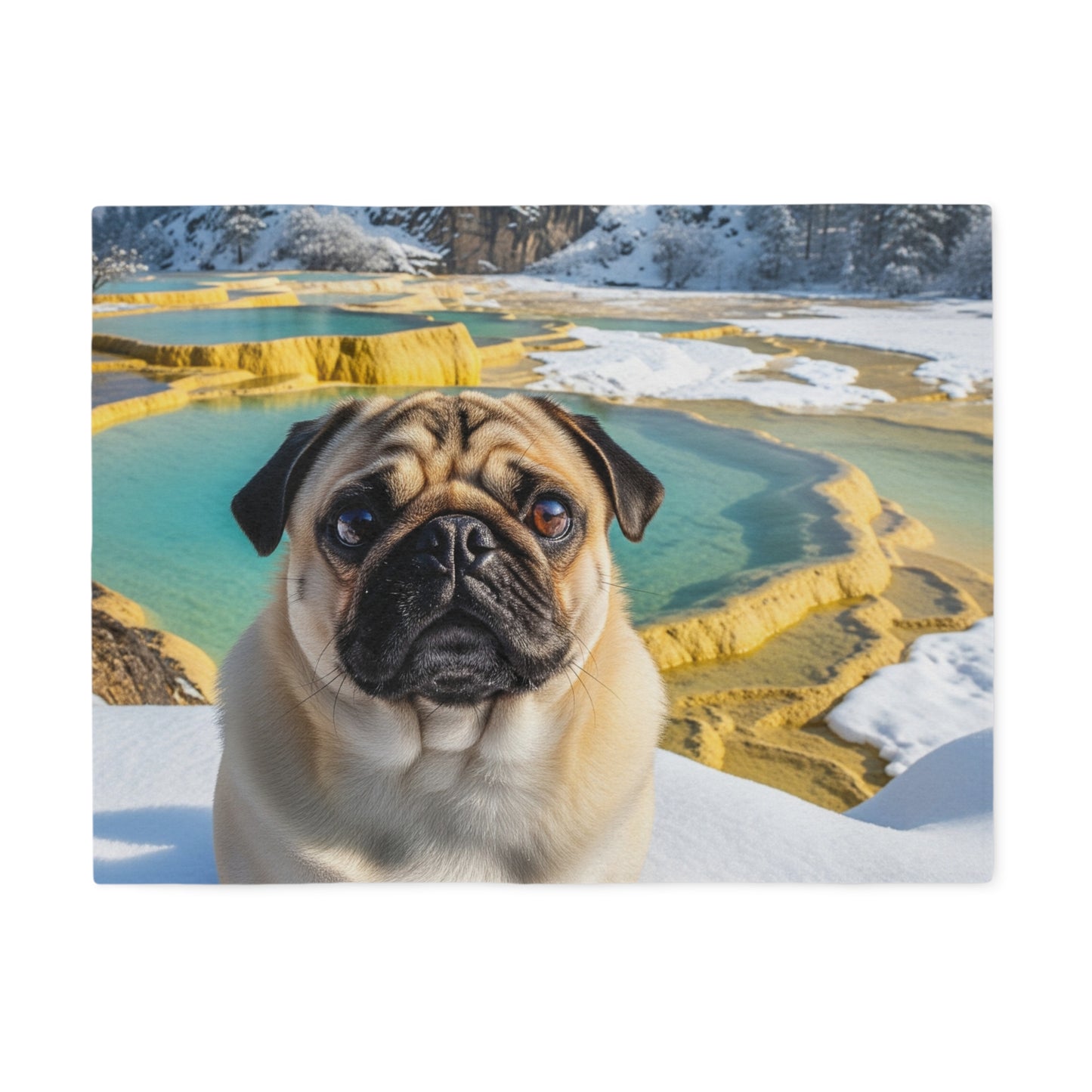 Pug Blanket