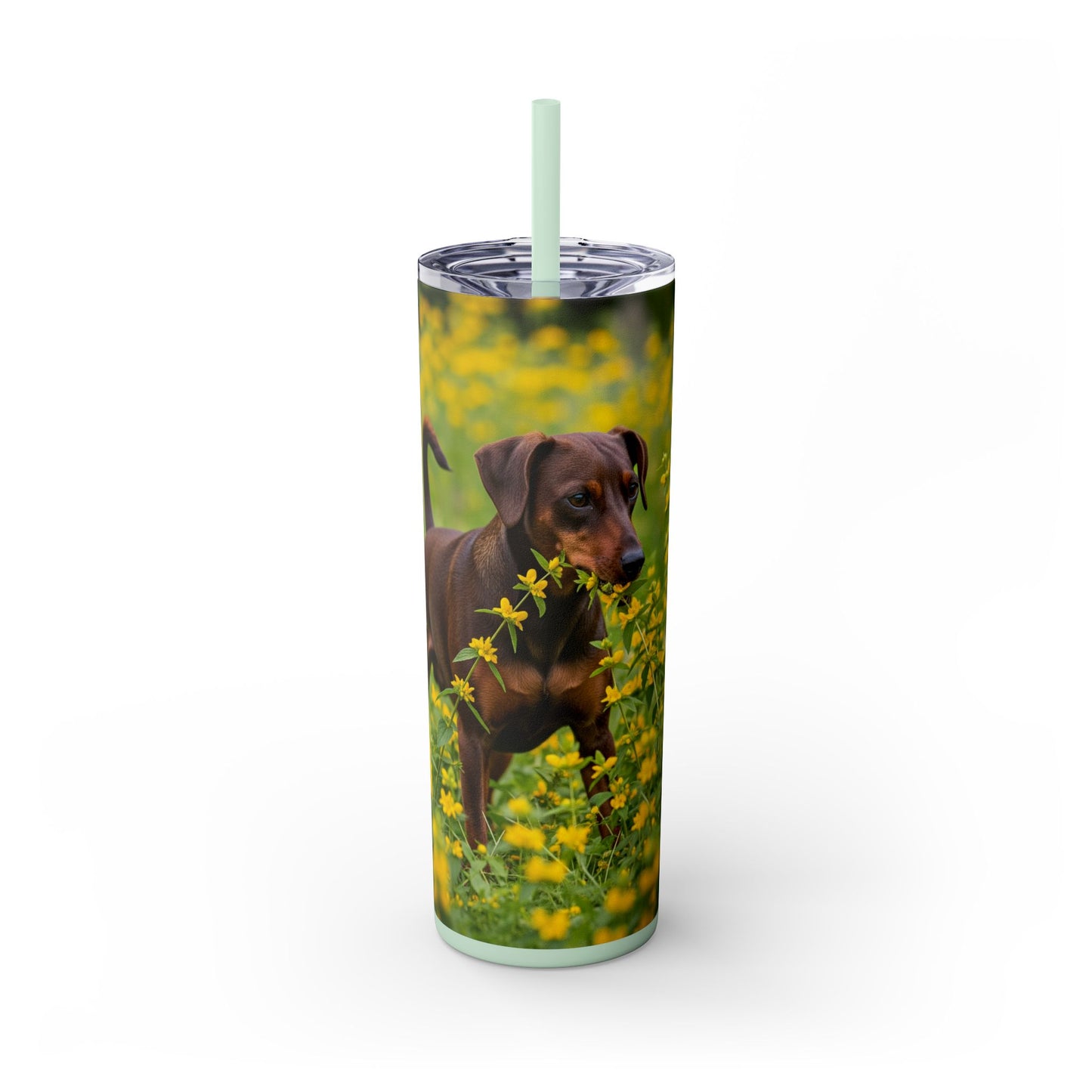 German Pinscher Tumbler with Straw, 20oz