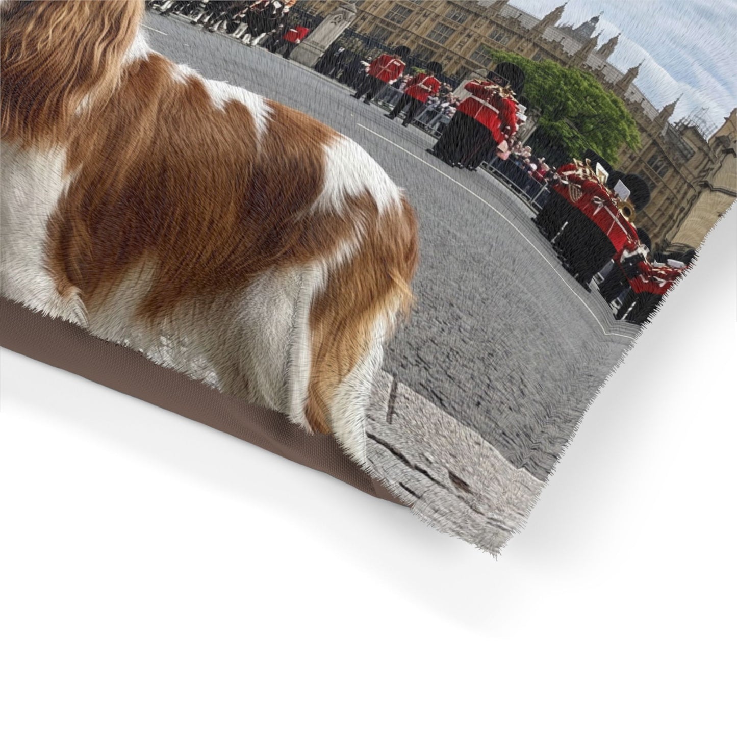 Cavalier King Charles Pet Bed