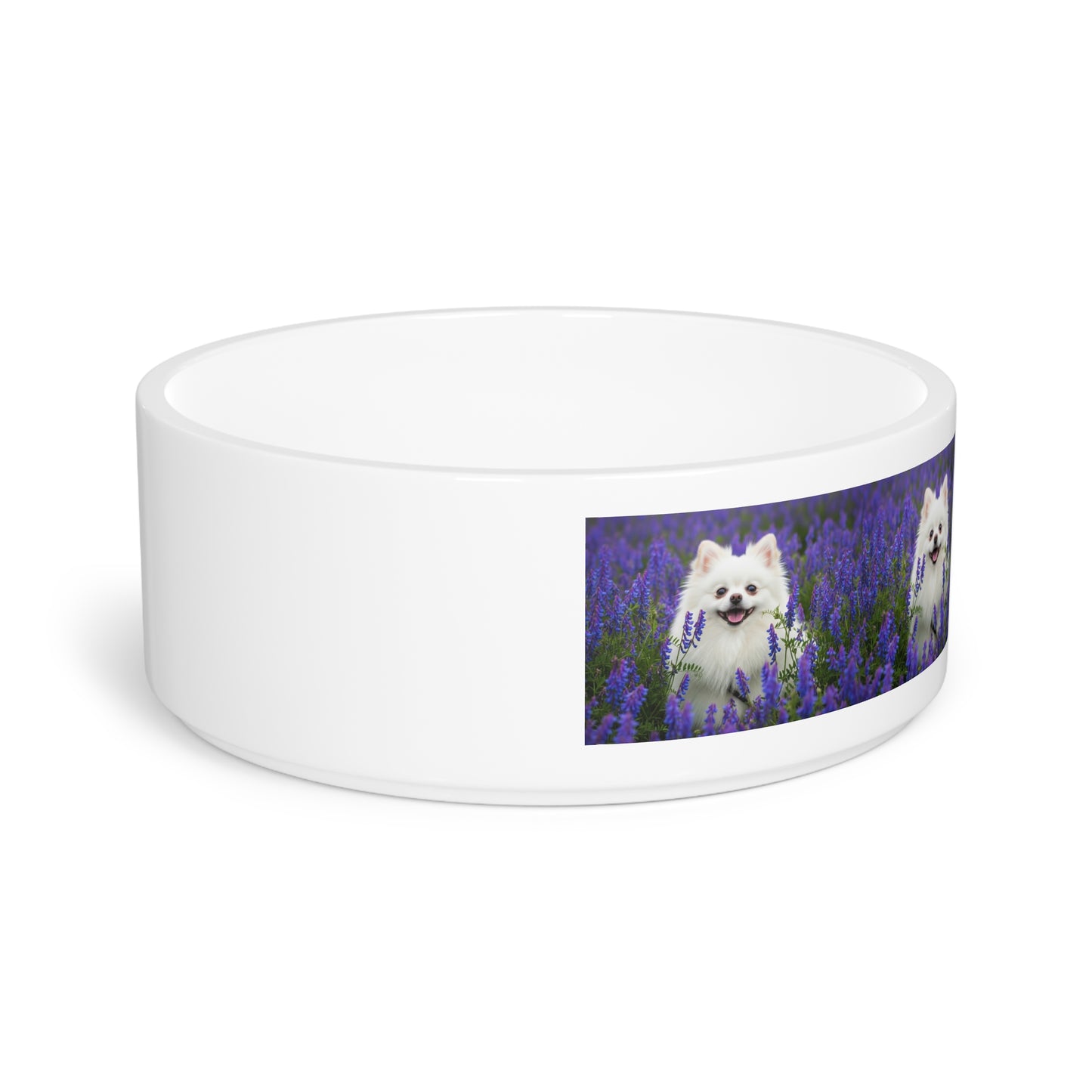 Pomeranian Pet Bowl