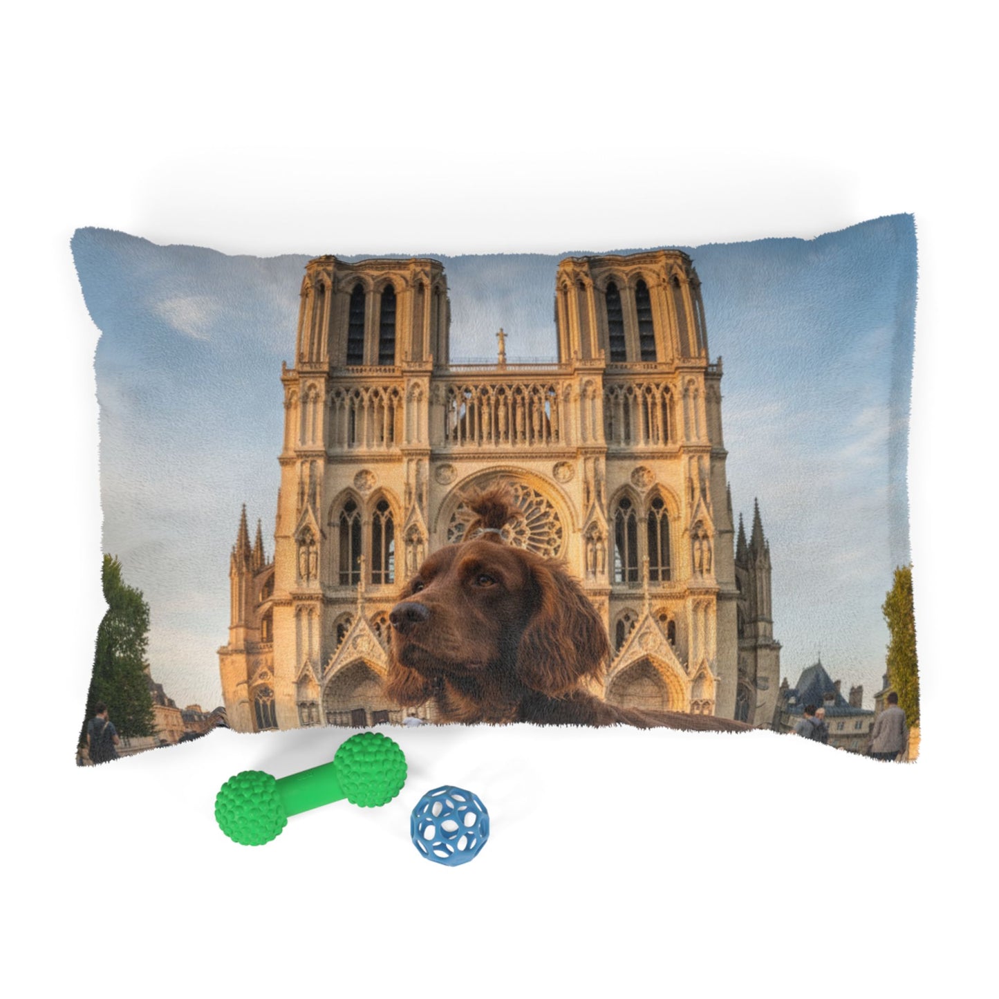 Pont-Audemer Spaniel Pet Bed