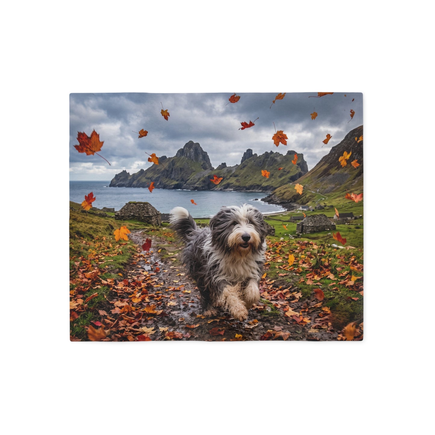 Bearded Collie Blanket
