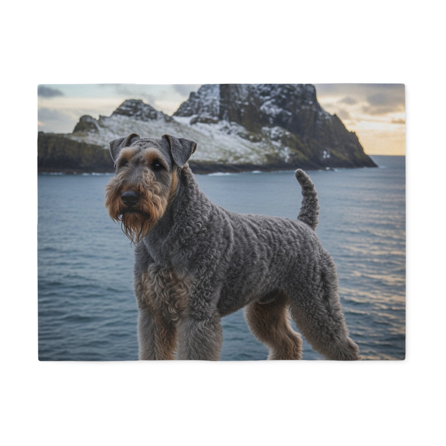Kerry Blue Terrier Blanket