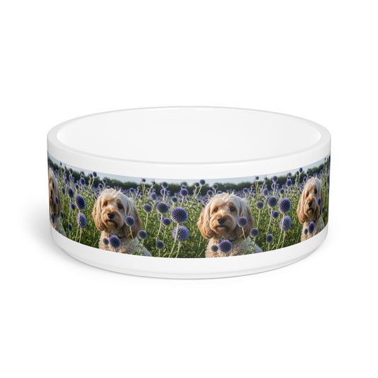 Spoodle Pet Bowl