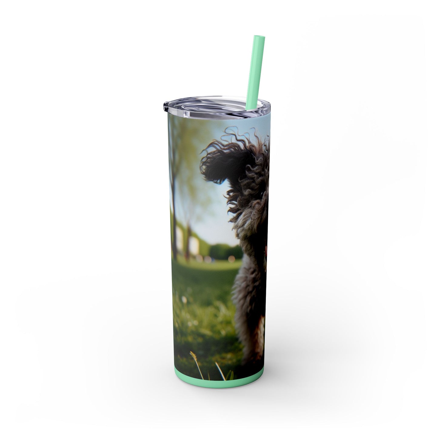 Pumi Skinny Tumbler with Straw, 20oz