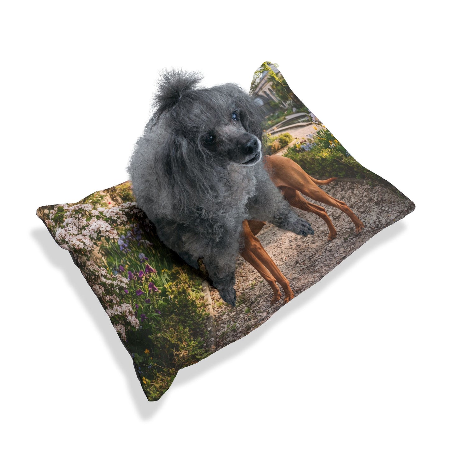 Cirneco dell'Etna Pet Bed