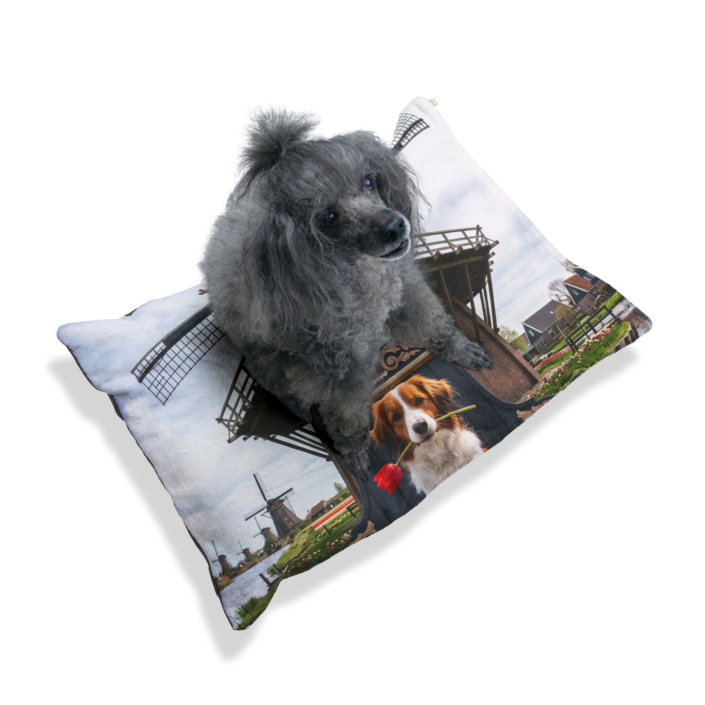 Nederlandse Kooikerhondje Pet Bed