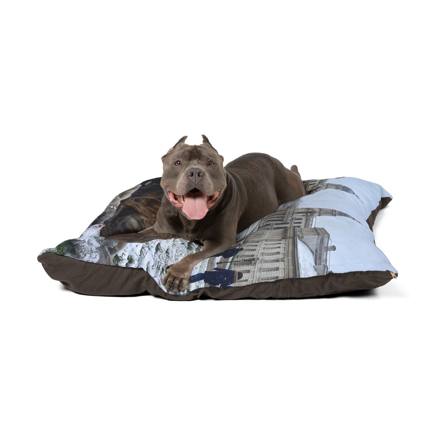 Greyhound Pet Bed