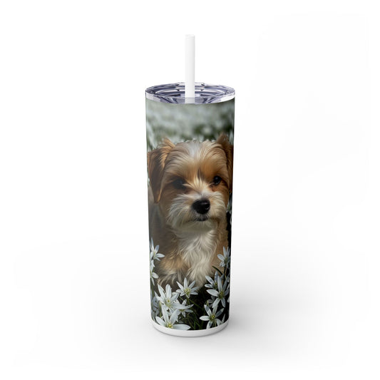Morkie Tumbler with Straw, 20oz
