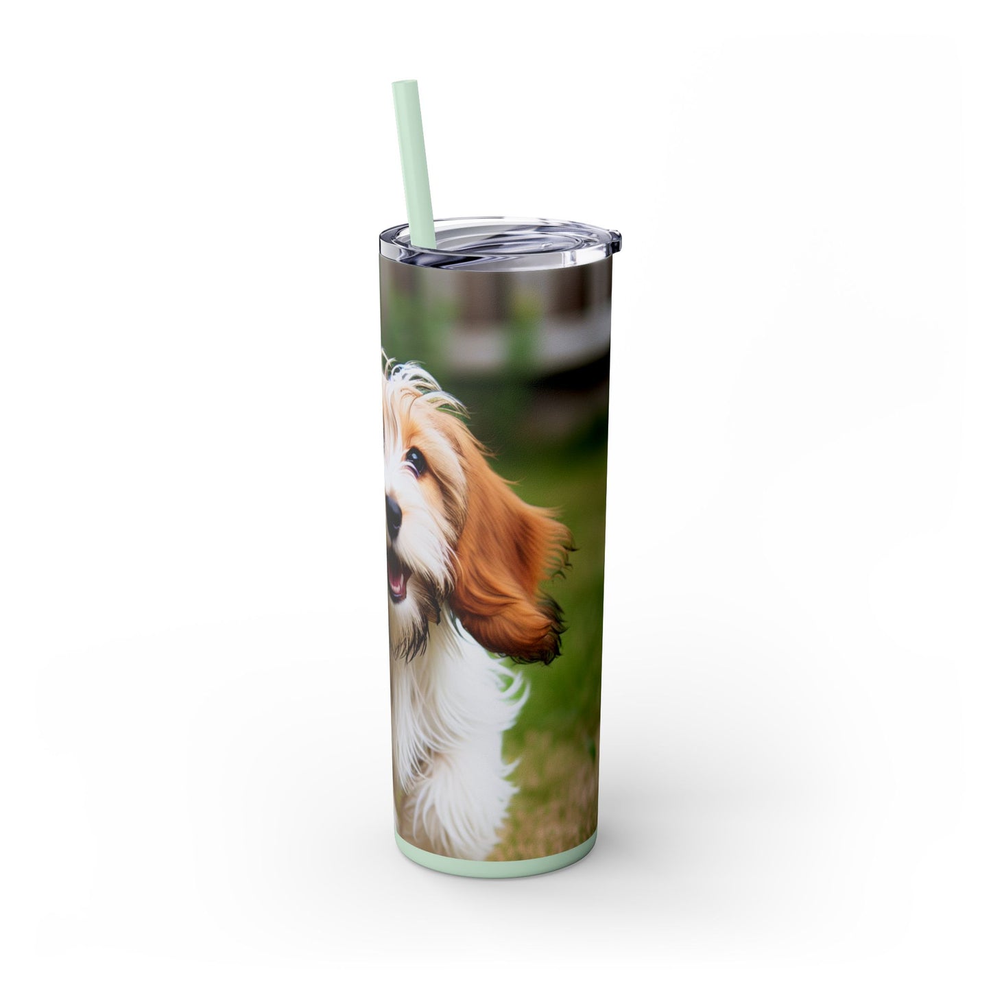 Petit Basset Griffon Vendeen Skinny Tumbler with Straw, 20oz