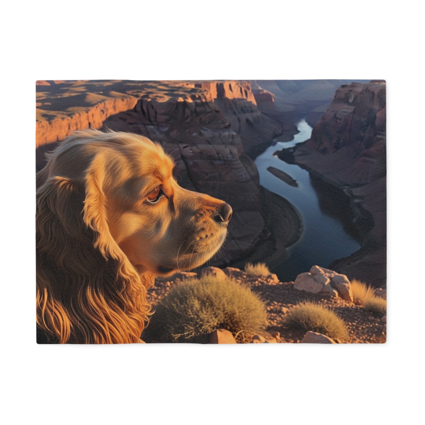American Cocker Spaniel Blanket