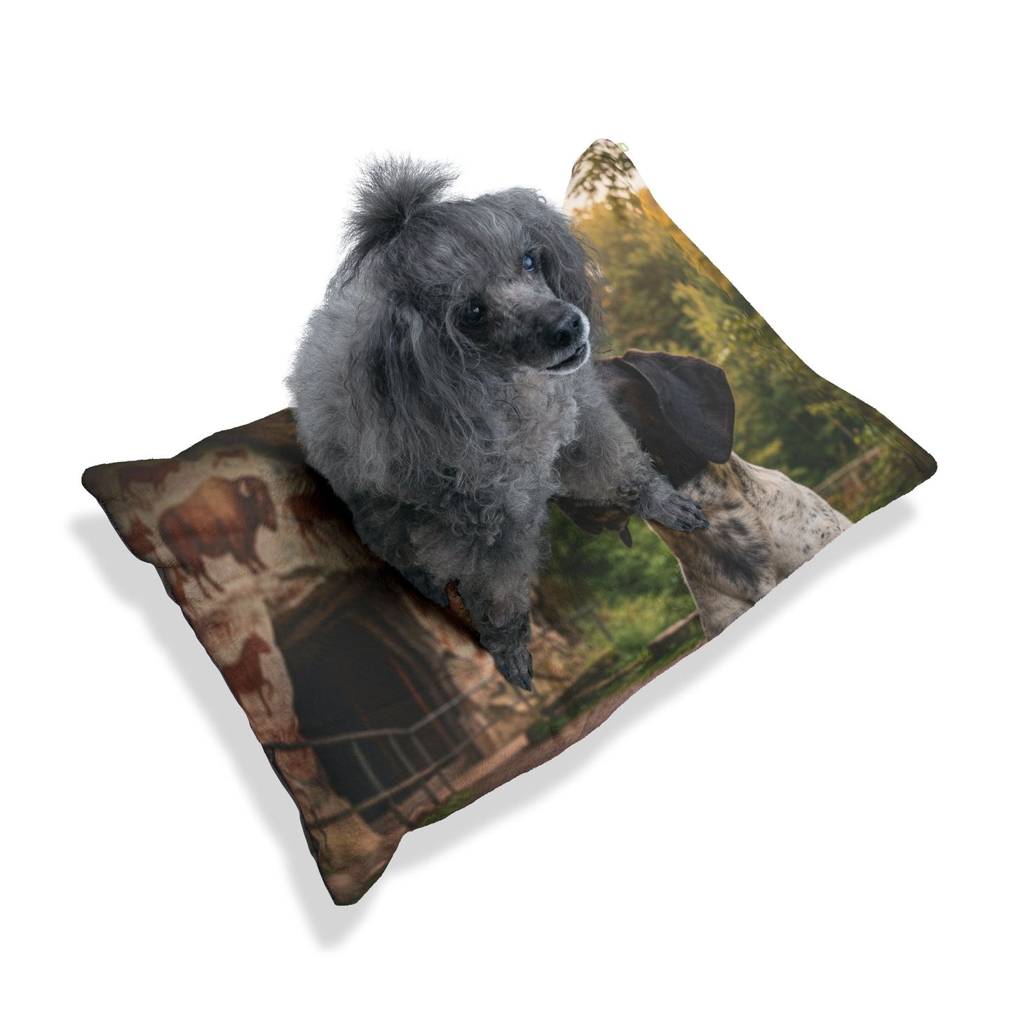 Braque d'Auvergne Pet Bed