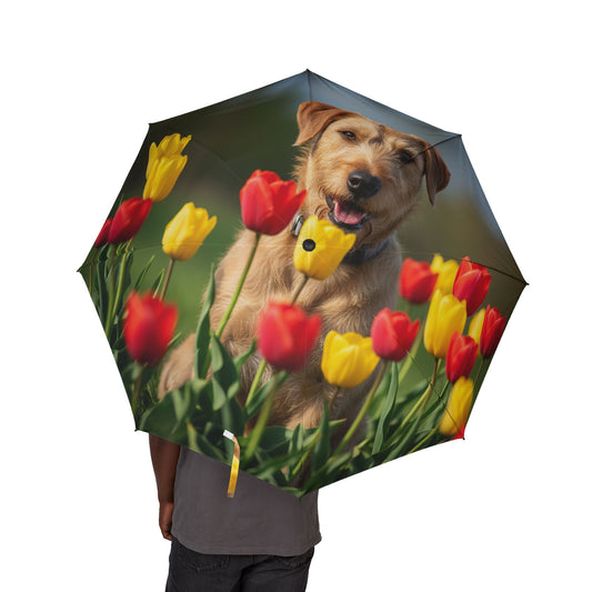 Pumi Semi-Automatic Foldable Umbrella