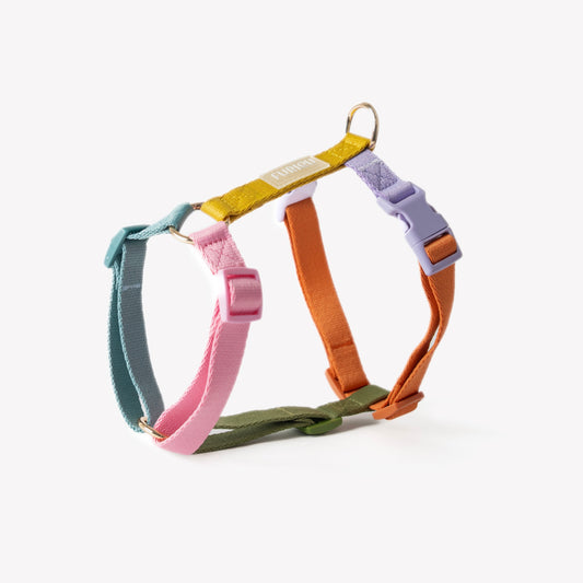 Harnais pour chien Rainbow