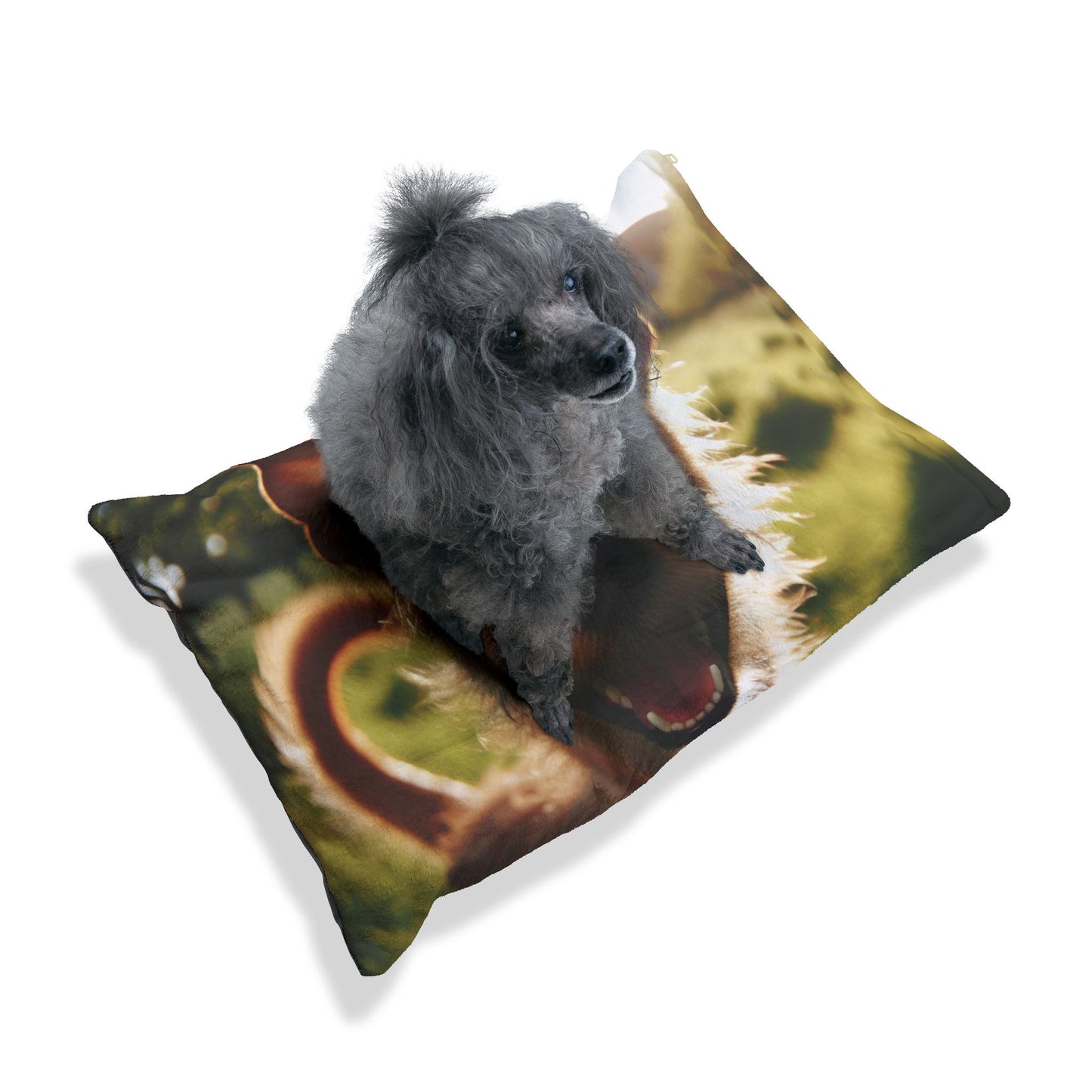 Portuguese Podengo Pet Bed