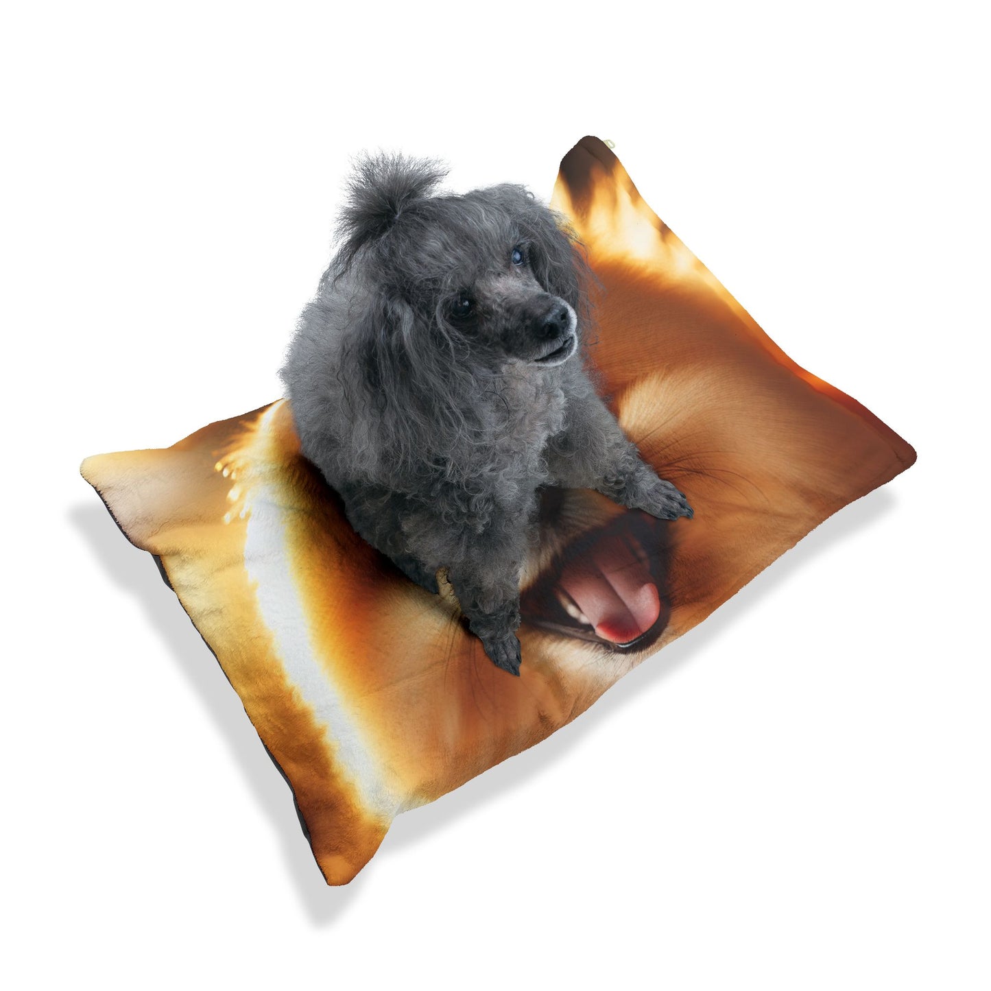 Pomeranian Pet Bed