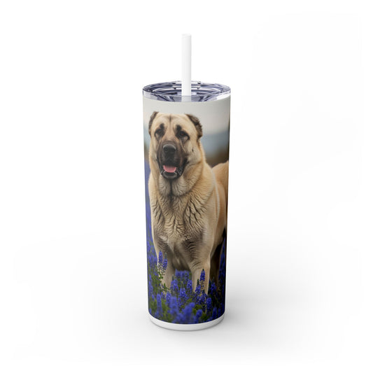 Kangal Shepherd Dog Tumbler with Straw, 20oz