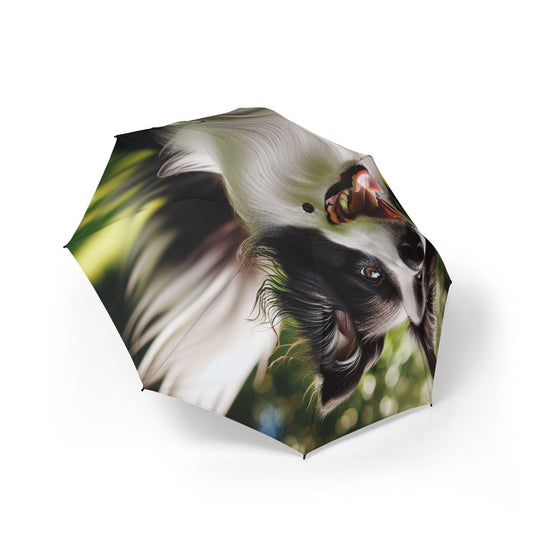 Border Collie Semi-Automatic Foldable Umbrella