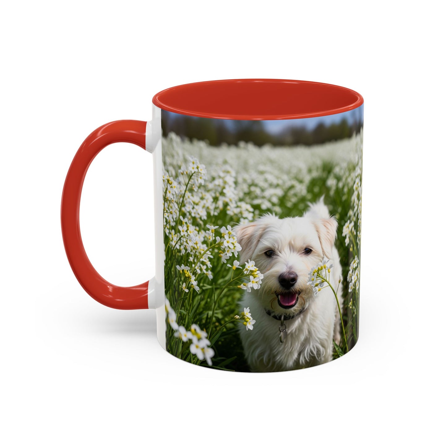 Taza de café con acento Kromfohrlander: el regalo perfecto para los amantes de los perros