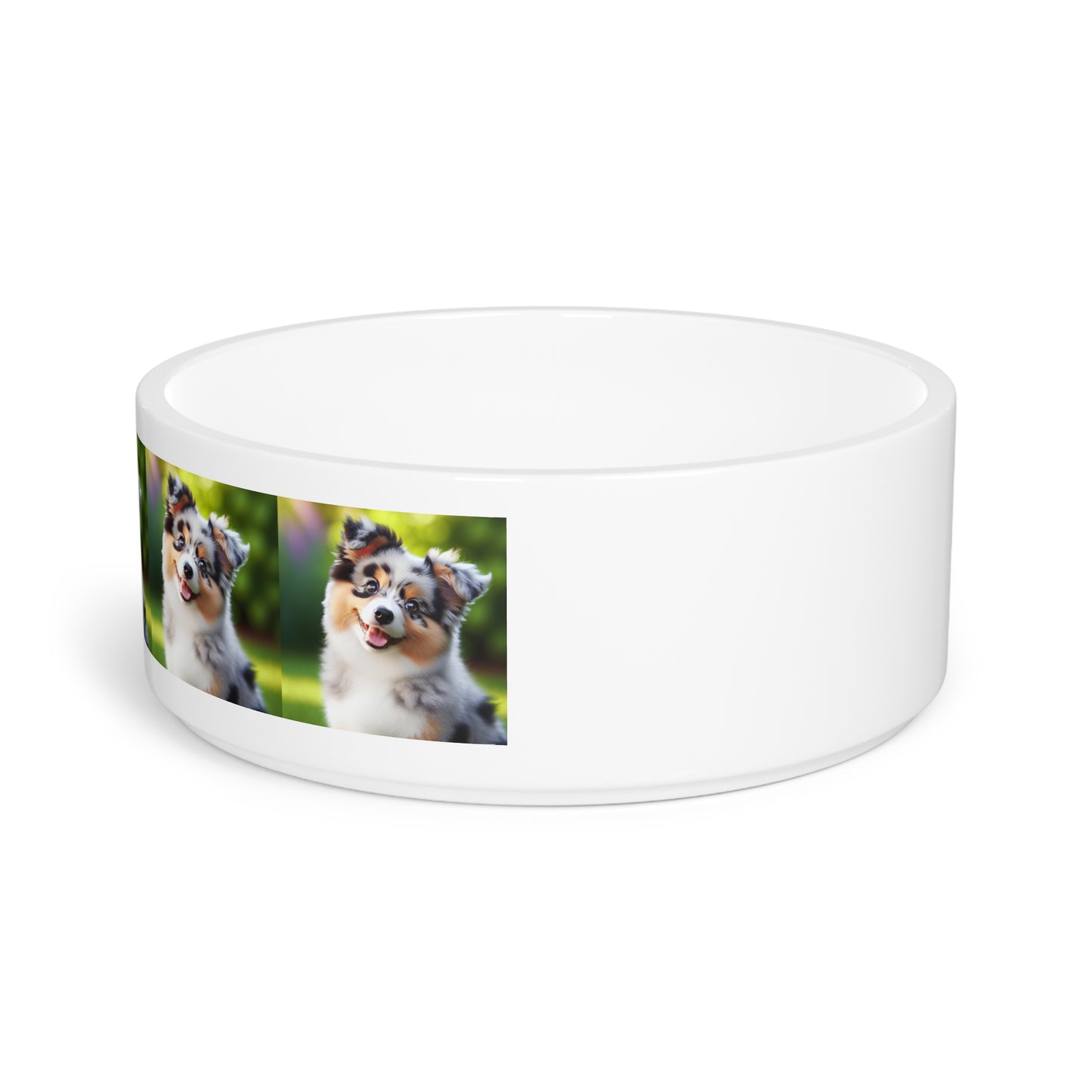 Mini bol pour animaux de compagnie australiens